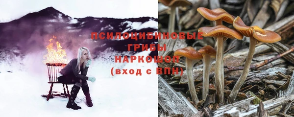 каннабис Арсеньев